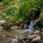 Как отличить постоянный родник от сезонного выхода грунтовых вод на участке